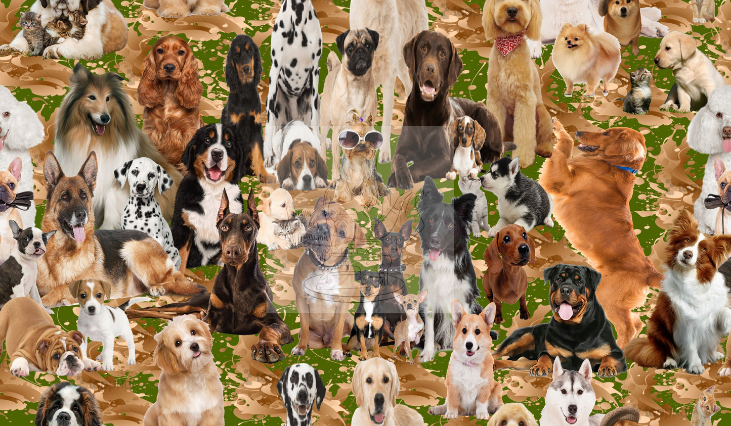 Bow Wow Gang - Exclusive