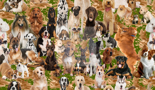 Bow Wow Gang - Exclusive